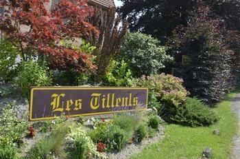 Les Tilleuls Hotel 3*